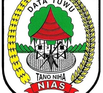 Original barat. Nias logo. Nia logo PNG.